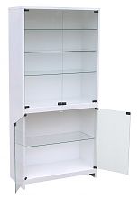 Лабораторный шкаф ШСС-2